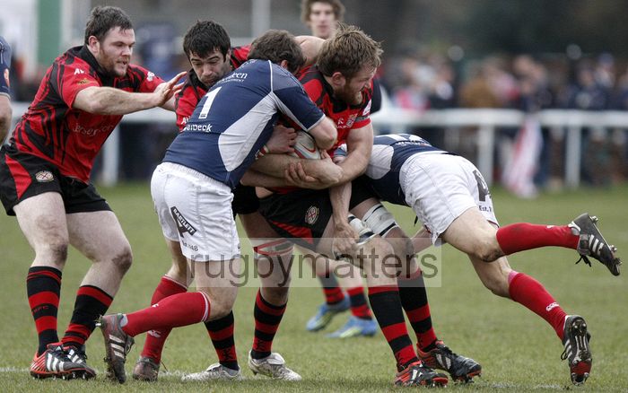 Nathan Hannay tackled by Mark Irish and Andy Reay. London Scottish v Jersey at Richmond Athletic Ground, Kew Foot Road, Richmond on 2nd March 2013 KO 1400.