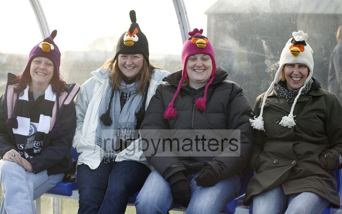 Allegedly Angry Birds. Worcester v Thurrock T-Birds at Sixways, Worcester on 16th December 2012.